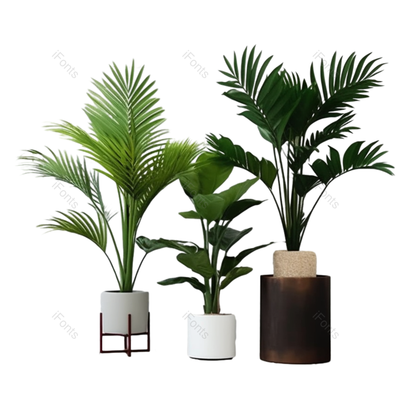 装饰图片,现代元素,摄影PNG,白色免抠素材